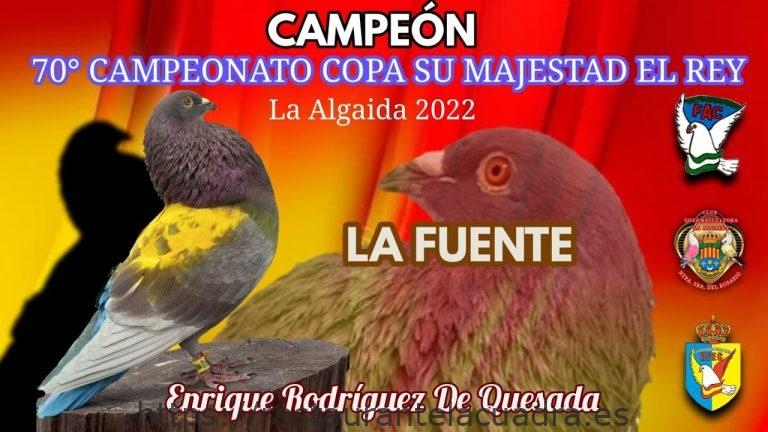 Federación Murciana de Colombicultura | Organización y eventos de palomos de competición