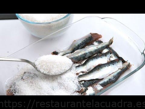 Tiempo de curación de sardinas en salazón: consejos y técnicas para obtener los mejores resultados