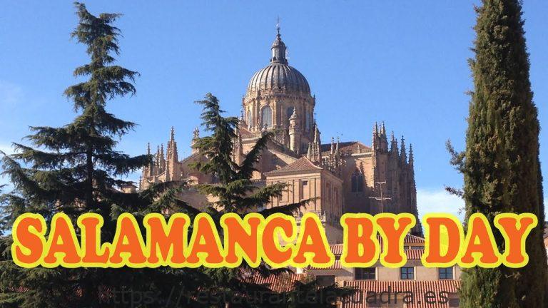 Menú del día en Salamanca: disfruta de la mejor oferta gastronómica diaria